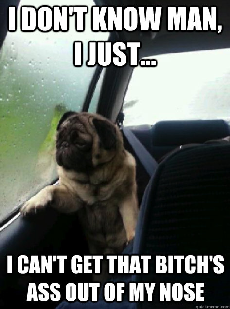 I don't know man, I just... I can't get that bitch's ass out of my nose - I don't know man, I just... I can't get that bitch's ass out of my nose  Introspective Pug