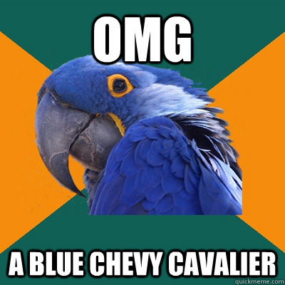 Omg a blue chevy cavalier  Paranoid Parrot