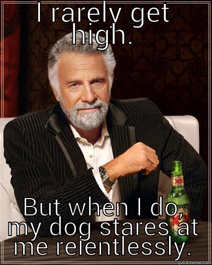 I RARELY GET HIGH. BUT WHEN I DO, MY DOG STARES AT ME RELENTLESSLY. The Most Interesting Man In The World