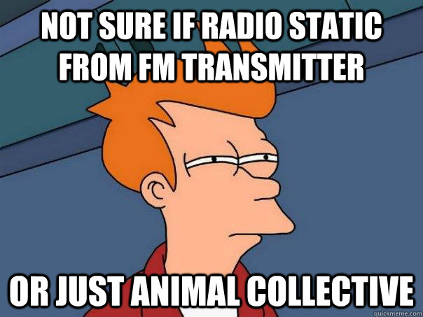 Not sure if radio static from FM transmitter Or just Animal Collective  Futurama Fry