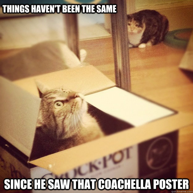 things haven't been the same since he saw that coachella poster - things haven't been the same since he saw that coachella poster  Cats wife