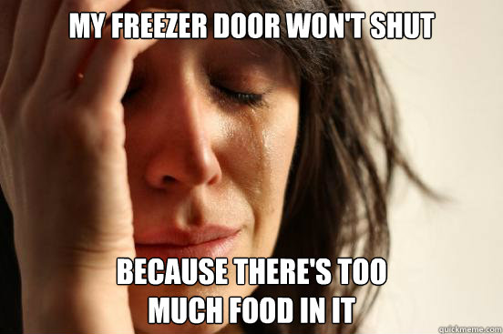 my freezer door won't shut because there's too
much food in it  First World Problems