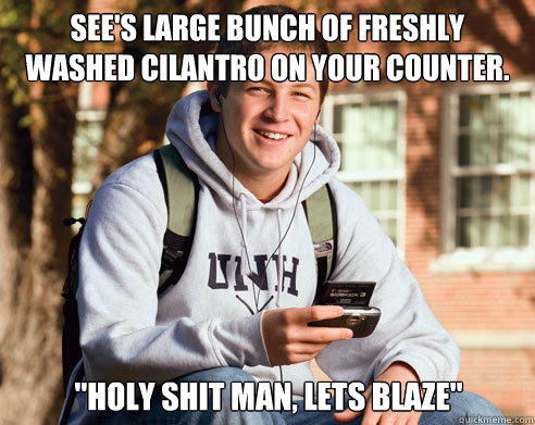 See's large bunch of freshly washed cilantro on your counter. 