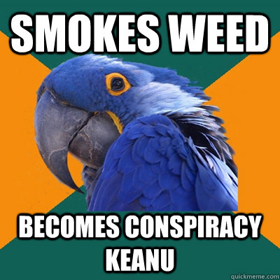 smokes weed  becomes conspiracy keanu  Paranoid Parrot