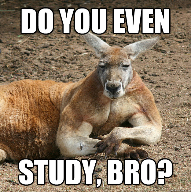 do you even study, bro?  