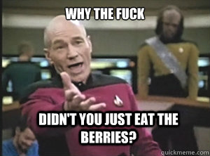 why the fuck didn't you just eat the berries?  Annoyed Picard