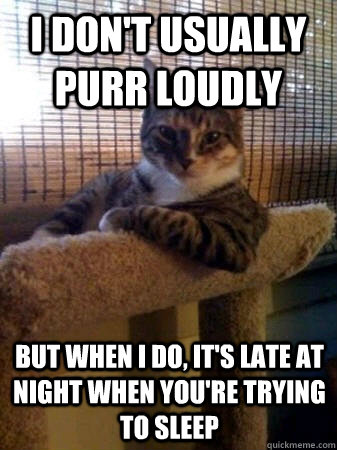 I don't usually purr loudly  but when I do, it's late at night when you're trying to sleep  The Most Interesting Cat in the World