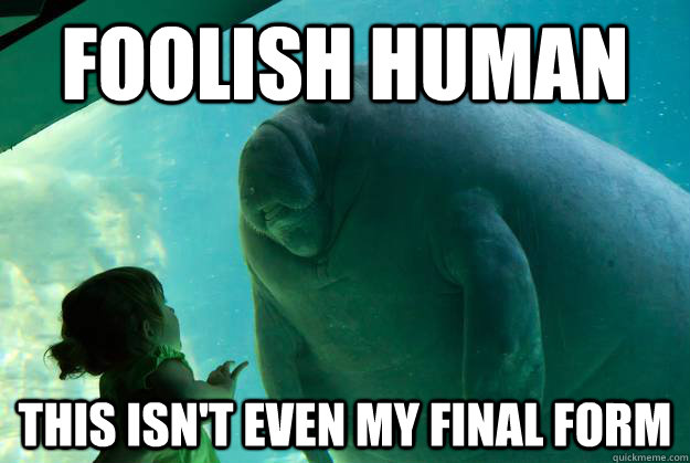 foolish human this isn't even my final form  Overlord Manatee