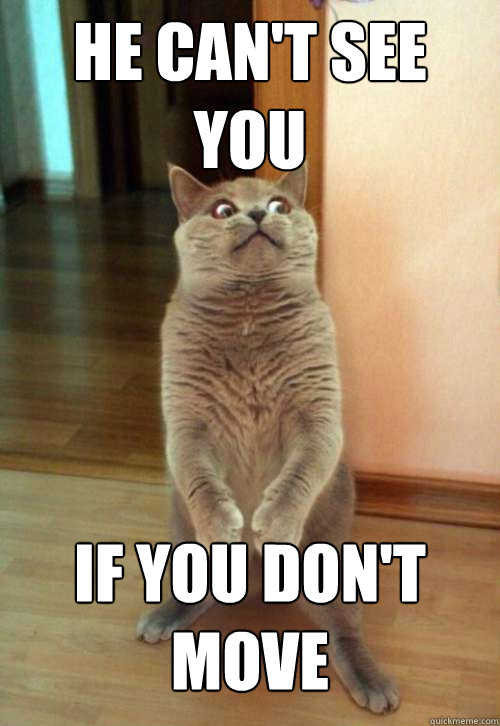 He can't see you if you don't move - He can't see you if you don't move  Horrorcat