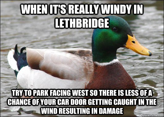 When it's really windy in Lethbridge try to park facing west so there is less of a chance of your car door getting caught in the wind resulting in damage - When it's really windy in Lethbridge try to park facing west so there is less of a chance of your car door getting caught in the wind resulting in damage  Actual Advice Mallard