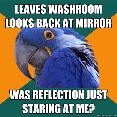 leaves washroom looks back at mirror was reflection just staring at me?  Paranoid Parrot