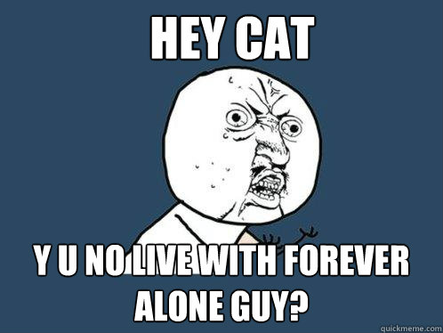 Hey Cat Y U NO live with forever alone guy?  Y U No