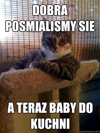 Dobra posmialismy sie a teraz baby do kuchni  The Most Interesting Cat in the World