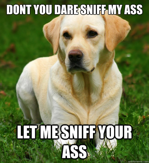 DONT YOU DARE SNIFF MY ASS LET ME SNIFF YOUR ASS  Dog Logic