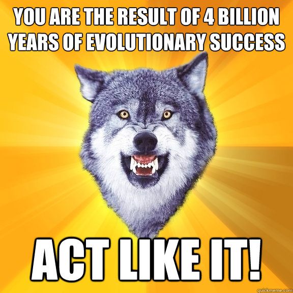 you are the result of 4 billion years of evolutionary success act like it!  Courage Wolf