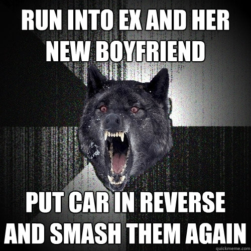 Run into ex and her new boyfriend put car in reverse and smash them again  Insanity Wolf