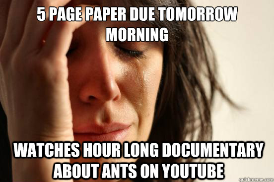 5 page Paper due tomorrow morning Watches hour long documentary about ants on youtube  First World Problems