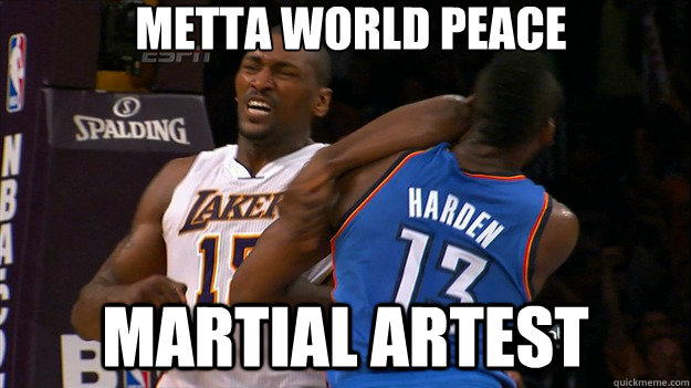 METTA WORLD PEACE MARTIAL ARTEST  