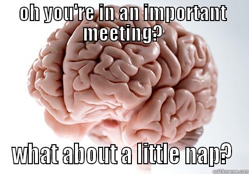 OH YOU'RE IN AN IMPORTANT MEETING? WHAT ABOUT A LITTLE NAP? Scumbag Brain