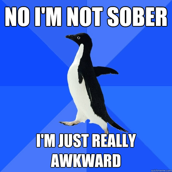 no i'm not sober i'm just really awkward  Socially Awkward Penguin