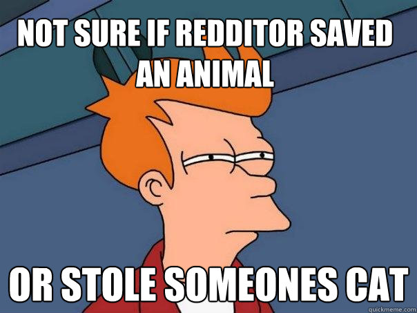 Not sure if redditor saved an animal or stole someones cat   Futurama Fry