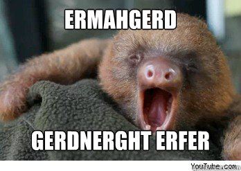 ermahgerd GERDNERGHT ERFER - ermahgerd GERDNERGHT ERFER  ermahgerd sloth