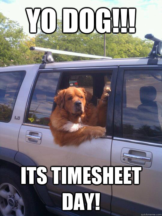 Yo DOg!!! its Timesheet day! - Yo DOg!!! its Timesheet day!  Womans Best Friend Dog