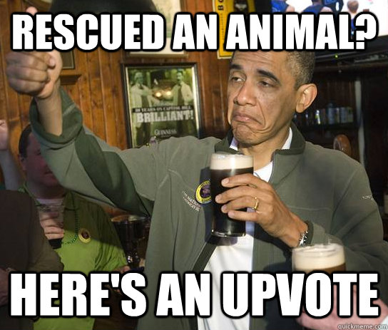 Rescued an animal? Here's an upvote  Approving Obama