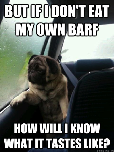 But if I don't eat my own barf how will I know what it tastes like?  Introspective Pug