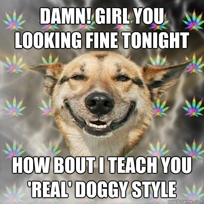 Damn! Girl you looking fine tonight How bout i teach you 'real' doggy style  Stoner Dog