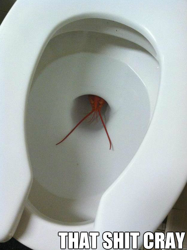 That Shit Cray  THAT SHIT CRAY
