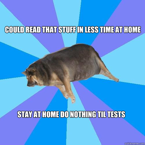 could read that stuff in less time at home stay at home do nothing til tests  Lazy college student