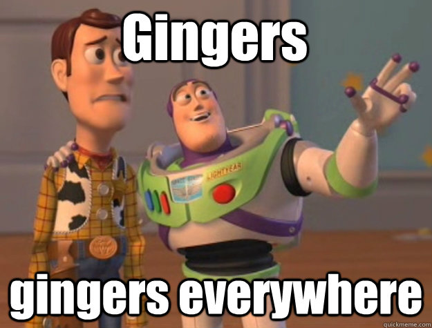 Gingers gingers everywhere  toystory everywhere