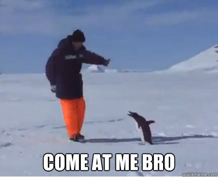  Come at me bro  Come at me bro