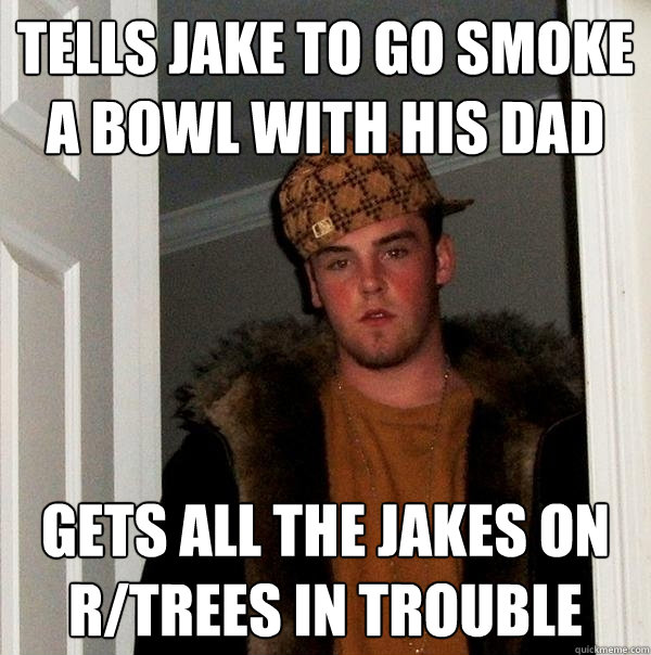 Tells jake to go smoke a bowl with his dad gets all the jakes on r/trees in trouble   Scumbag Steve