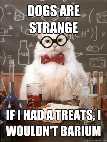 Dogs are strange
 If I had a treats, I wouldn't Barium  Science Cat