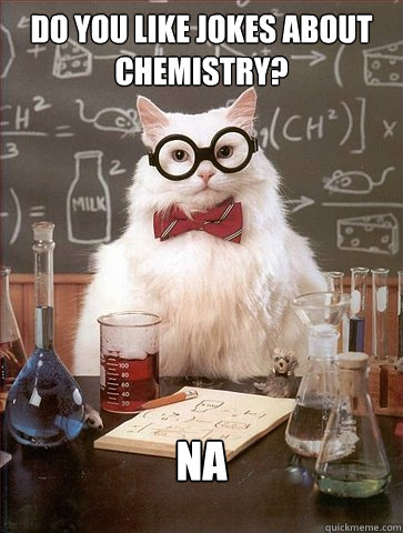 Do you like jokes about  chemistry?

 Na  Science Cat