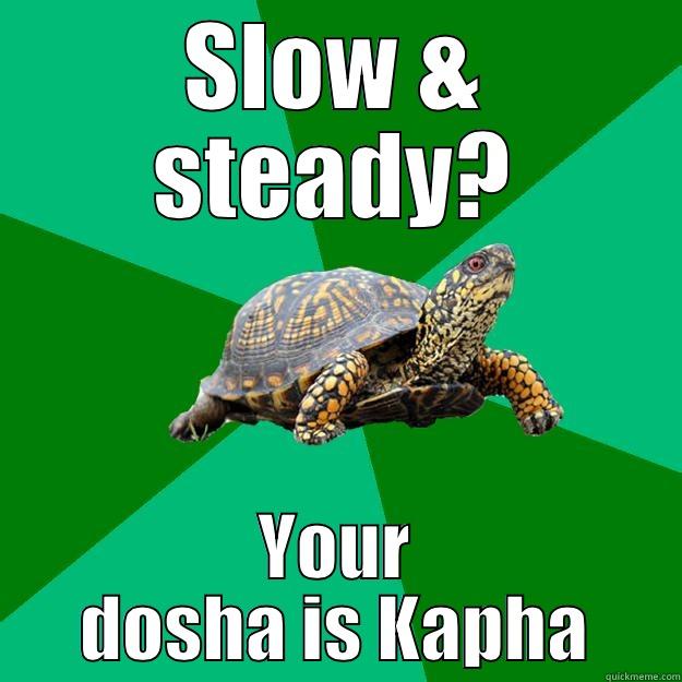 SLOW & STEADY? YOUR DOSHA IS KAPHA! Torrenting Turtle