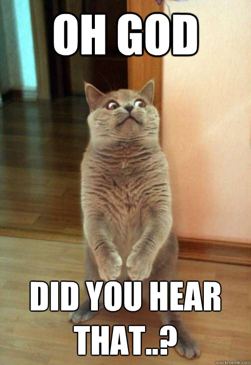 Oh god Did you hear that..?  Horrorcat