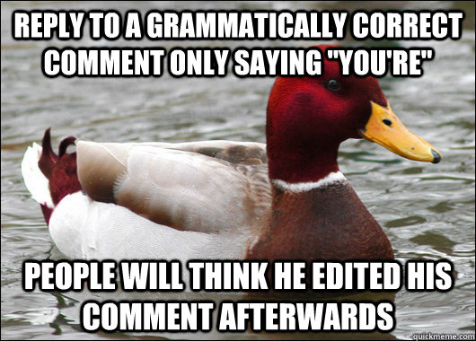 reply to a grammatically correct comment only saying 