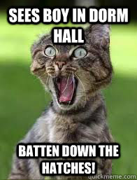 Sees boy in dorm hall BATTEN DOWN THE HATCHES!  Easily Disturbed Cat