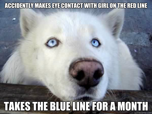 accidently makes eye contact with girl on the red line takes the blue line for a month - accidently makes eye contact with girl on the red line takes the blue line for a month  Socially Awkward Husky