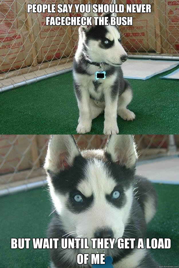 People say you should never facecheck the bush But wait until they get a load of me  Insanity puppy
