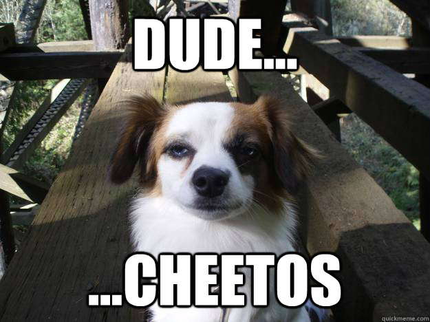 Dude... ...Cheetos  