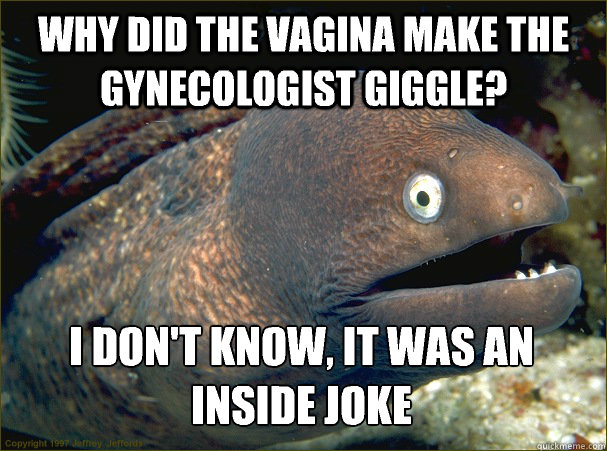 Why did the vagina make the gynecologist giggle? I don't know, it was an inside joke - Why did the vagina make the gynecologist giggle? I don't know, it was an inside joke  Bad Joke Eel