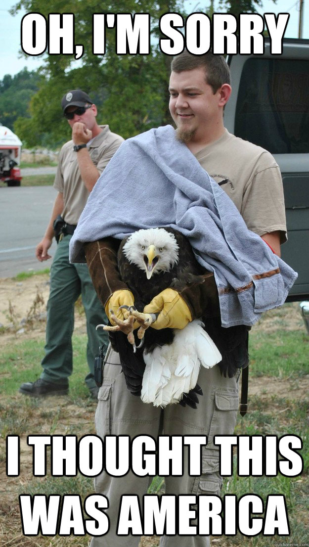Oh, I'm sorry I thought this was america  Eagle