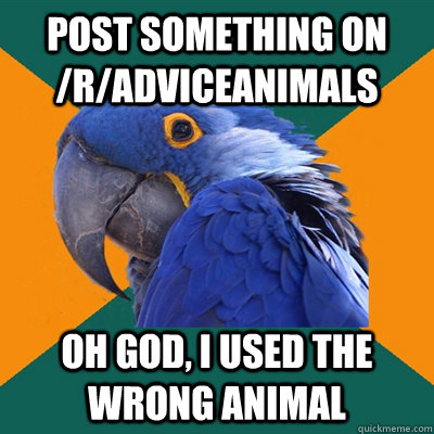post something on /r/adviceanimals oh god, i used the wrong animal  Paranoid Parrot