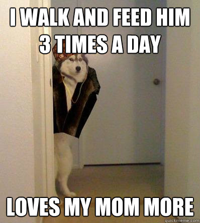 I WALK AND FEED HIM 3 TIMES A DAY LOVES MY MOM MORE - I WALK AND FEED HIM 3 TIMES A DAY LOVES MY MOM MORE  Scumbag dog