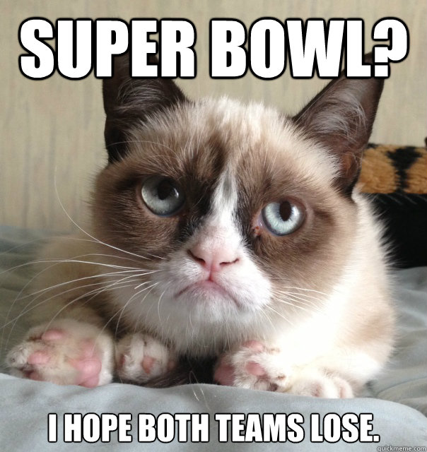 Super Bowl? I hope both teams lose. - Super Bowl? I hope both teams lose.  Australia Day Grumpy Cat