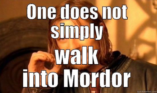 ONE DOES NOT SIMPLY WALK INTO MORDOR Boromir